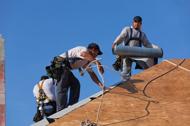 Best Metal Roofing Contractor  in Camden, TN