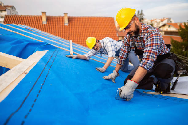 Best Gutter Installation and Roofing  in Camden, TN